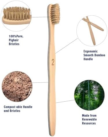 Boar Bristle Bamboo Toothbrush 10 Pack Compostable Plastic Free - Image 7
