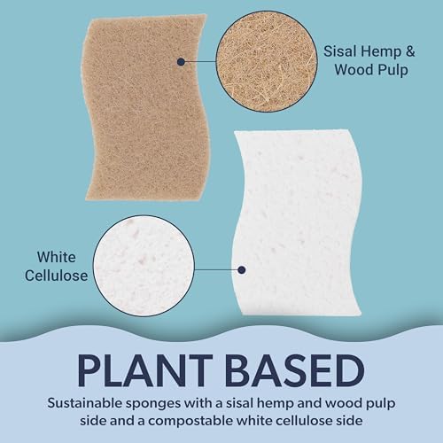 happimess Natural Non-Scratch Dish Sponge, Beige/White, Set of 12 - Image 7