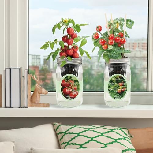 Tiny Tim & Red Robin Tomato Mason Jar Garden Kit, Mini Tomato Grow Duo, 2 Pack Indoor Hydroponic Growing Kit - Image 5