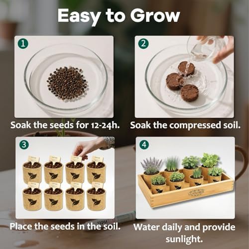 Indoor Herb Garden Start Kit - Unique Gifts for Women, Mothers Day Gifts, Easy House Plant- Birthday for Women,House Warming Gift New Home- Fresh Herb Garden DIY Crafts for Adults - Image 7