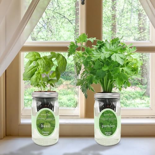 2-Pack Hydroponic Mason Jar Herb Garden Kit, Indoor Herb Garden Self-Watering Starter Kit (Basil, Parsley) - Image 6