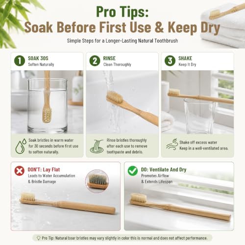 DEBETOOL 4-Pack Natural Boar Bristle Toothbrush for Adults - Image 7