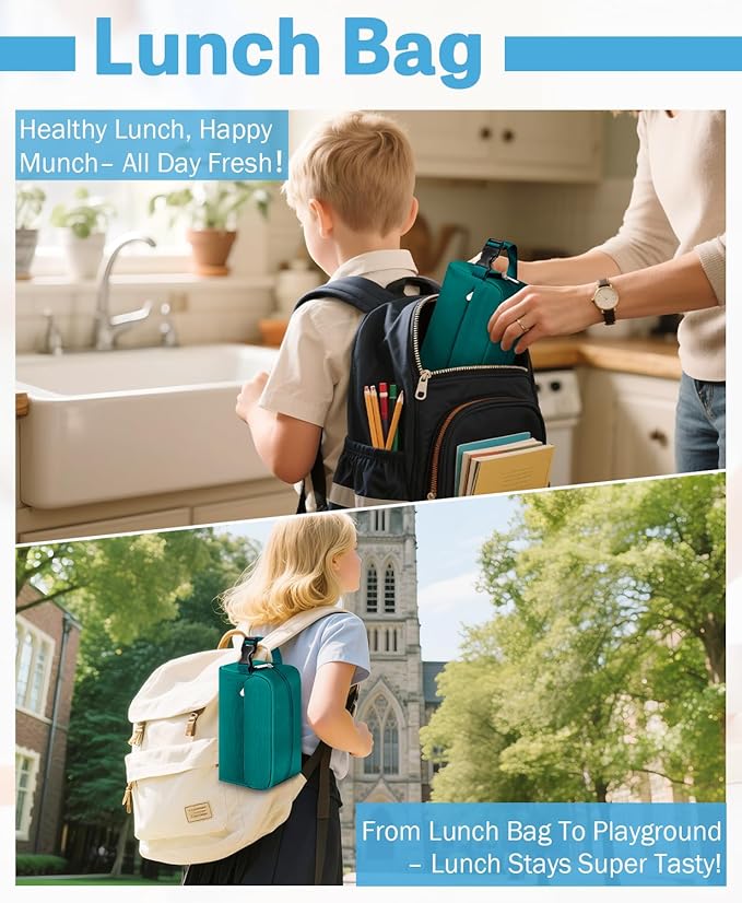 Small Insulated Snack Bag Lunch Box,Collapsible Reusable Small Lunch Bag with Snap Buckle Handle for Beach Travel Picnic,Peacock Green 5-Can(3L)