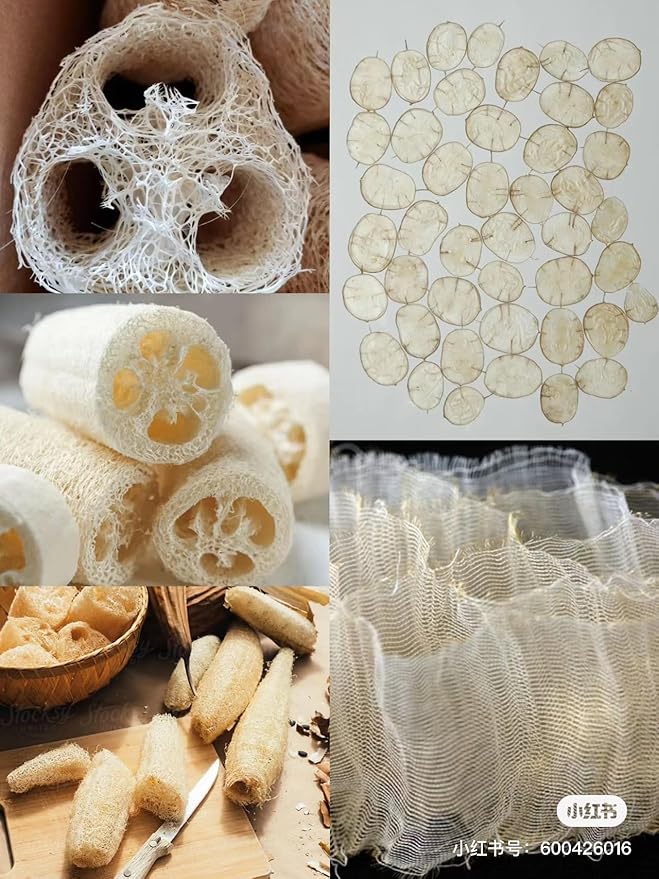 4" Natural Loofah Exfoliating Body and Face Sponge for Skin Care in Bath Spa Shower - Pack of 24 Eco-Friendly Biodegradable Luffa Scrubber