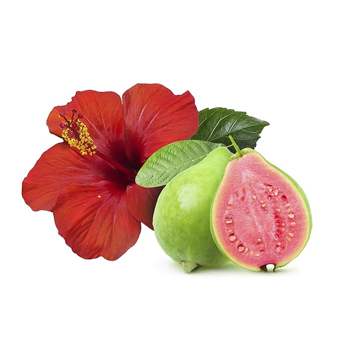 Sweet & Sassy 3 Shampoo Bars. Made in the USA. All Natural, Organic, SLS Free, Plastic Free, Safe for Color Treated Hair (Hawaiian Hibiscus)