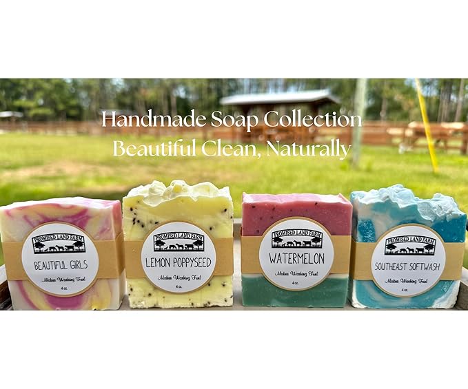 4 Pack Handmade Soap Bars With Natural Ingredients: Grass Fed Tallow, Olive/Sunflower, & Coconut Oil, For Everyday Use. Gift Set In Box.