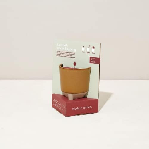 Modern Sprout Glow and Grow Kit - Soy Candle Planter - Grows Aloe - 12oz - Image 4