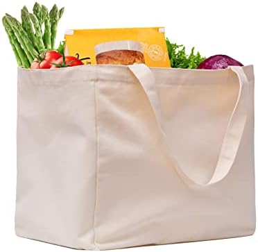 Canvas Reusable Grocery Bags Heavy Duty, 8.3 gal Foldable Large Tote Bag with Handles, Holds 60 lbs & Washable Eco-friendly Bags with 5 Pockets, Off white 1 Bags by CNaiyunpin