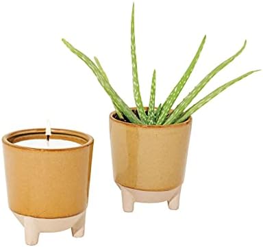 Modern Sprout Glow and Grow Kit - Soy Candle Planter - Grows Aloe - 12oz - Image 2
