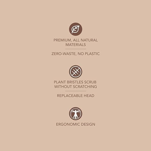 Murchison-Hume Compostable Dish Brush with Wooden Handle, Replaceable Scrubber Head, No Plastic Parts, All-Natural Materials Scrubbing Tool for Cleaning Pans, Pots, and Kitchen Sink, 8.3 inches - Image 2