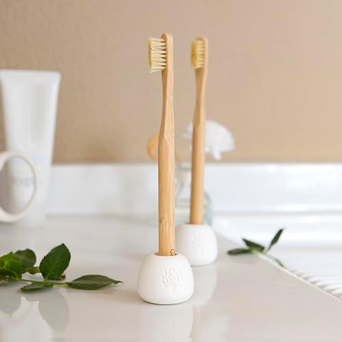 Gaia Guy Boar Bristle Bamboo Toothbrushes – 6 Pack Adult Toothbrush Set – No Nylon, Plastic-Free Natural Bristles, Bamboo Handle, Made from Natural Materials, Eco-Friendly Oral Care - Image 6