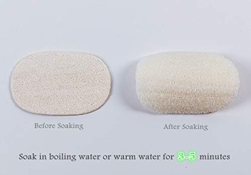 Natural Dish Scrubbers, 6 Piece Kitchen Loofah Sponge, Greener Clean Durable Non-Scratch Brush, Made from Plant-Based Fibers Oil Non-Stick, Compostable - Image 6