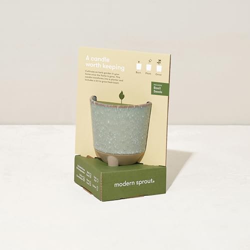 Modern Sprout Glow and Grow Kit - Soy Candle Planter - Grows Basil - 12oz - Image 4
