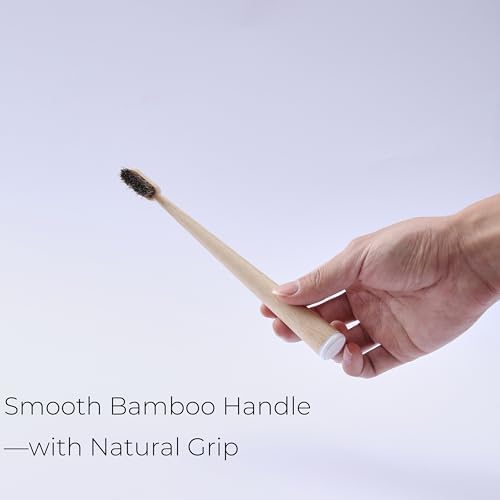 Horse Hair Toothbrush with Bamboo Travel Case, Adult Brush Set - Image 4