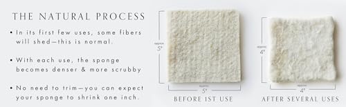 2-Pack Natural Wool Dish Sponges - Gentle, Effective & Compostable - Image 2