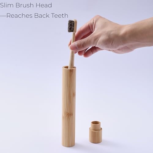 Horse Hair Toothbrush with Bamboo Travel Case, Adult Brush Set - Image 3