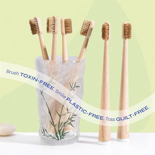 Boar Bristle Bamboo Toothbrush, Made from Natural Boar Hair Bristles, Plastic-Free (Pack of 6) - Image 4