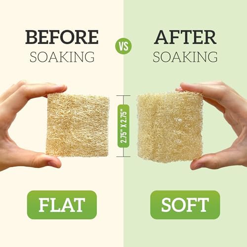 Natural Loofah Dish Sponge Multipurpose 100% Biodegradable - Image 2