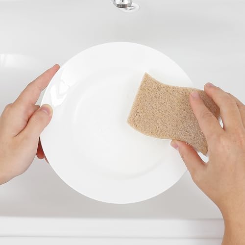happimess Natural Non-Scratch Dish Sponge, Beige/White, Set of 12 - Image 2