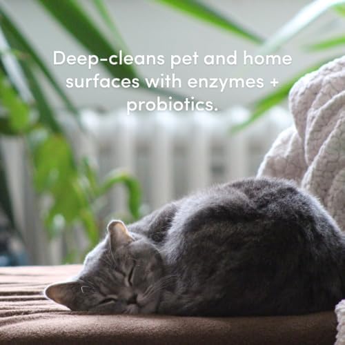 Clean Revolution SuperCharged All Purpose Cleaner Refill with Smart Probiotic + Enzyme Complex, Multi-Surface Kitchen Bathroom & Floor Cleaner, Lily & Green Tea, 32 Fl Oz (Pack of 4) - Image 5