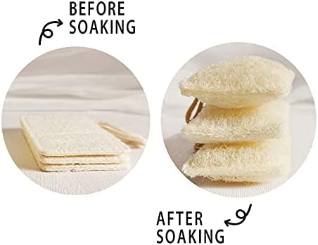 YIOINGJIE Natural Loofah Kitchen Dish Sponges,6 Pack - Image 2