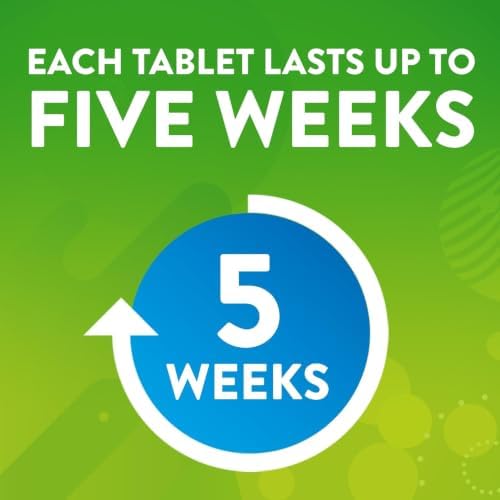 Scrubbing Bubbles Toilet Bowl Tablets, Continuous Clean Toilet Drop In Discs, Each Tablet Provides 4 Weeks of Protection Against Stains and Build Up, 5 Count (Pack of 6) - Image 3