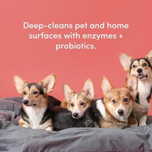 Clean Revolution SuperCharged All Purpose Cleaner Refill with Smart Probiotic + Enzyme Complex, Multi-Surface Kitchen Bathroom & Floor Cleaner, Geranium Mint, 64 Fl oz (Pack of 1) - Image 6