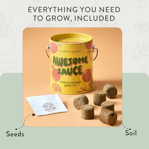 Modern Sprout Complimentary Color Grow Kits - Seed Starter Kit, Pack of 6 - Image 6