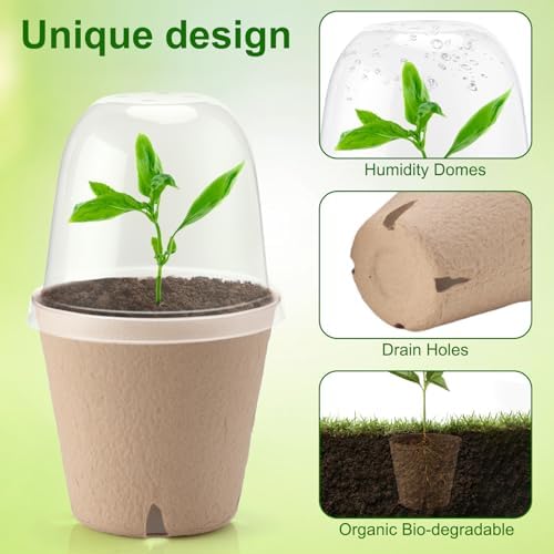 50 Set 3.15 Inch Peat Pots Plant Starters for Seedling with Humidity Dome - Image 2