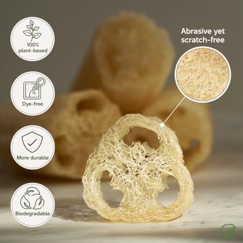 Chill Ah Natural Loofah Sponge Set – 100% Plant-Based, Dye-Free, Biodegradable Bath Exfoliator for Glowing Skin – Handcrafted in Vietnam (4-Pack) - Image 3