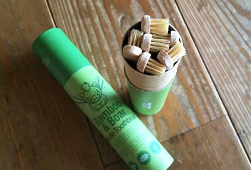 Gaia Guy Natural Bristle Bamboo Toothbrush (NO Nylon - Boar Hair ONLY) - Totally Compostable & Biodegradable Boar Bristle and Bamboo Toothbrushes - Zero Waste - 12-Pack - Image 5