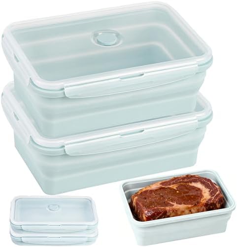 Extra Large Collapsible Silicone Food Storage Containers, 68oz/2000ml,2Pack by CUISITOOL