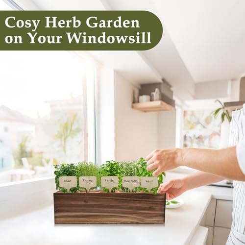 5 Herb Garden Planter Indoor with Wooden Box, Home Kitchen Seed Starter Kit Including Basil, Thyme, Parsley, Rosemary, Mint, Birthday, Mothers Day, House Warming, Gardening Gifts for Women, Mom - Image 4