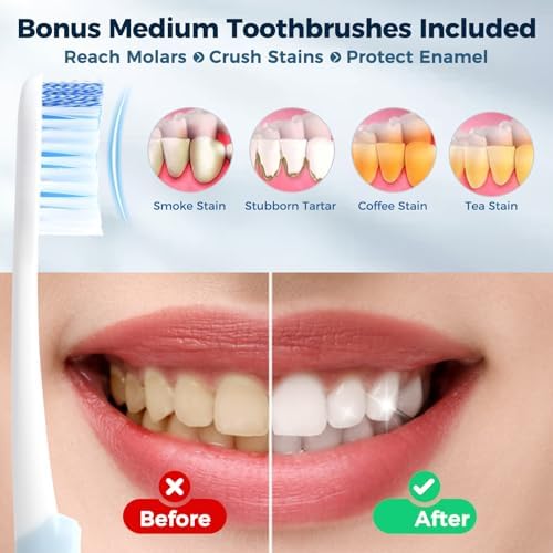 Aluminum Toothbrush Travel Case with 2 Medium Bristle Toothbrushes, Portable Complete Toothbrush Travel Kit, Toothbrush Holder for Bathroom, Camping, Business Trip - Image 4