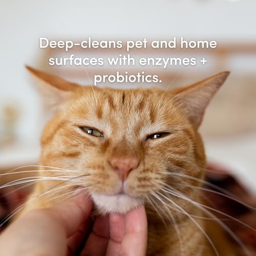 Clean Revolution SuperCharged All Purpose Cleaner Refill with Smart Probiotic + Enzyme Complex, Multi-Surface Kitchen Bathroom & Floor Cleaner, Dreamy Citrus, 18 oz (Pack of 1) - Image 4
