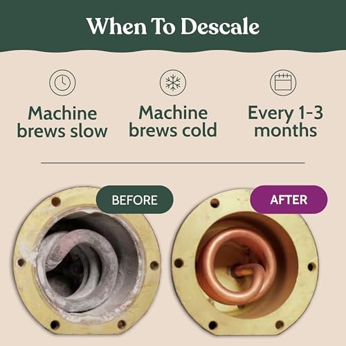 Roobi Breville Compatible Descaling Solution, 2 Pack - Image 4