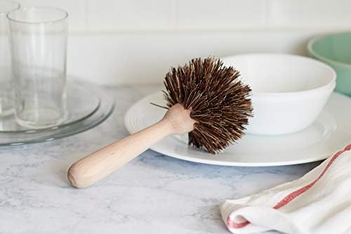Fox Run Kitchen Brush Set of 3, Pot, Dish, and Bottle Scrub Brush with Natural Bristles - Image 5