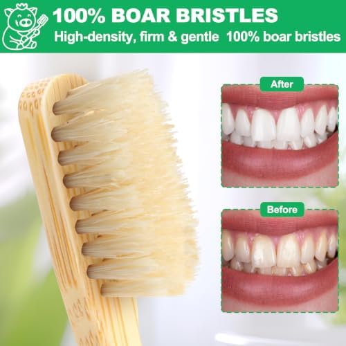 Boar Bristle Toothbrush, Plastic Free Natural Bamboo Toothbrushes - Image 2
