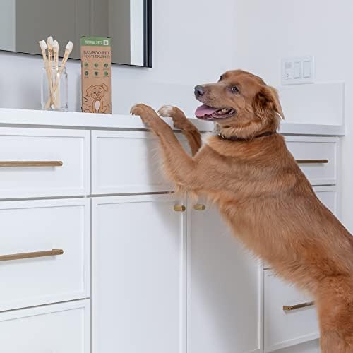 Dog and Cat Toothbrush - Two Sided Bamboo, Soft Bristles 4-Pack - Image 7