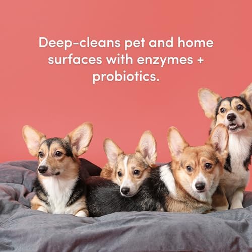 Clean Revolution SuperCharged All Purpose Cleaner Refill with Smart Probiotic + Enzyme Complex, Multi-Surface Kitchen Bathroom & Floor Cleaner, Geranium Mint, 18 Fl Oz - Image 3