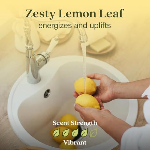 Enviroscent Non-Toxic Air Freshener for Home | Liquid Free Diffuser | Home Fragrance Lasts Over 30 Days | Kit Includes 1 Mango Wood Stand & 1 Scent Stix Refill (Lemon Leaf & Thyme) - Image 3