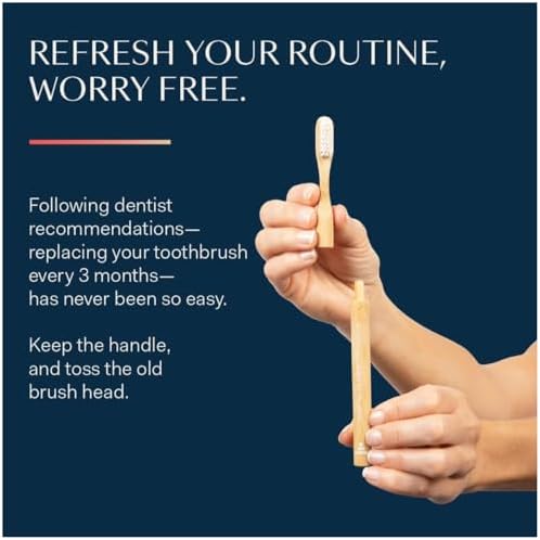 Better & Better Natural Bamboo Toothbrush | Soft Bristles | 100% Plant-Based | Reusable Handle and Replaceable Brush Head | Eco-Friendly, Zero Plastic | Adult Size, White - Image 6