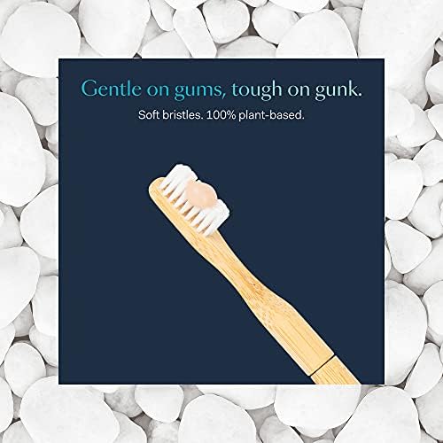 Better & Better Manual Bamboo Toothbrush Head Refill | Soft Bristles | Replaceable Brush Head Only | Eco-Friendly, Zero Plastic | Adult Size, Does not fit Sonic Electric Toothbrush - Image 3