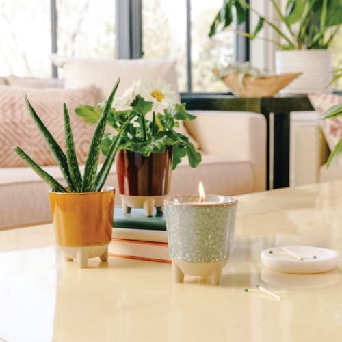 Modern Sprout Glow and Grow Kit - Soy Candle Planter - Grows Aloe - 12oz - Image 5