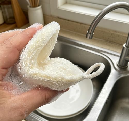 Natural Egyptian Loofah Dish Sponges, Double-Sided Scrubbers, 4-Pack - Image 6