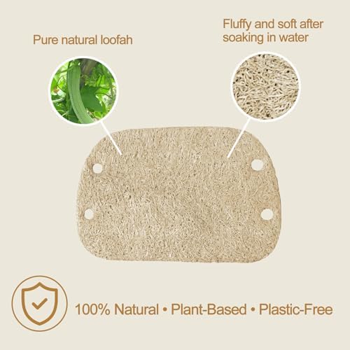 Natural Loofah Dish Sponge with Handle, 5 Replaceable Scrubber Pads - Image 3