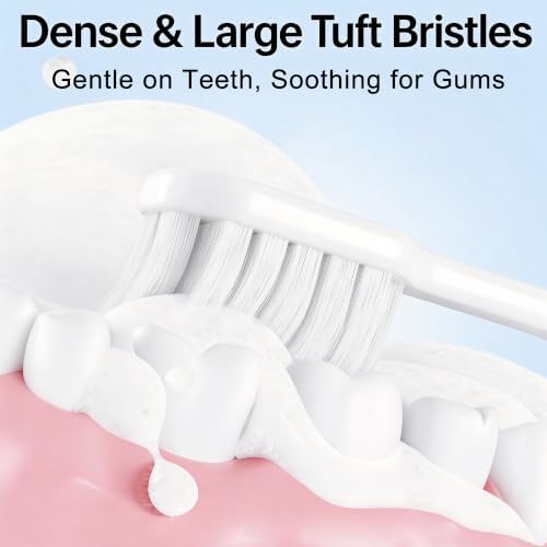 Aluminum Toothbrush Cover Cap with 2 Manual Soft Bristle Toothbrushes - Image 7