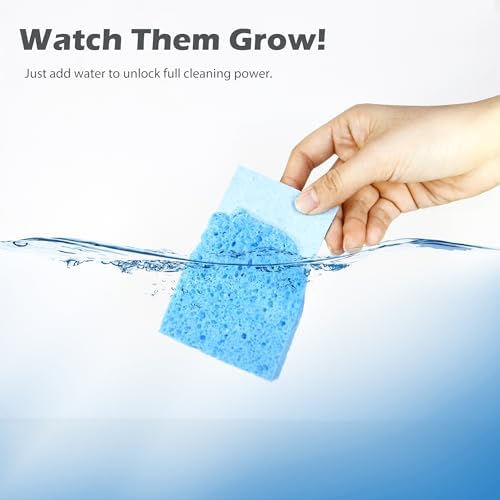 Cellulose Kitchen Sponges for Dishes(6 Pack) - Image 3