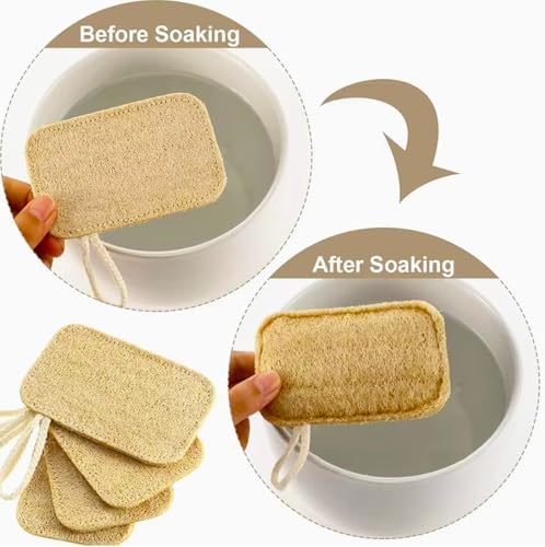8 Pcs Natural Loofah Dishwashing Sponge Loofah Dish Towel Sponges with Hanging Loop for Kitchen Cleaning Dishes Natural Dish Scrubber - Image 3