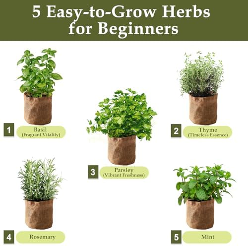 5 Herb Garden Planter Indoor with Wooden Box, Home Kitchen Seed Starter Kit Including Basil, Thyme, Parsley, Rosemary, Mint, Birthday, Mothers Day, House Warming, Gardening Gifts for Women, Mom - Image 2